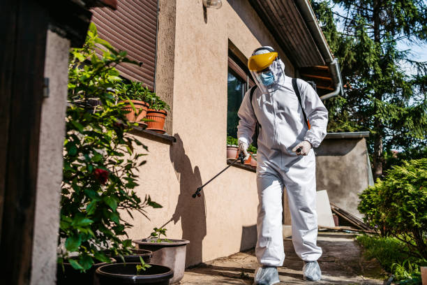 Bird Control in Payette, ID