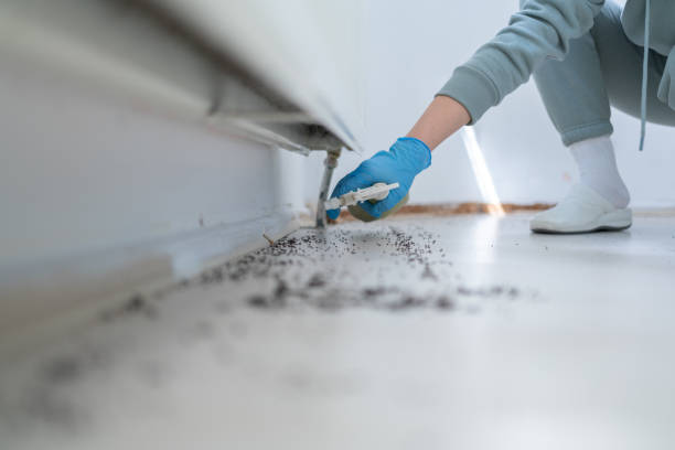Best Pest Prevention Services  in Payette, ID